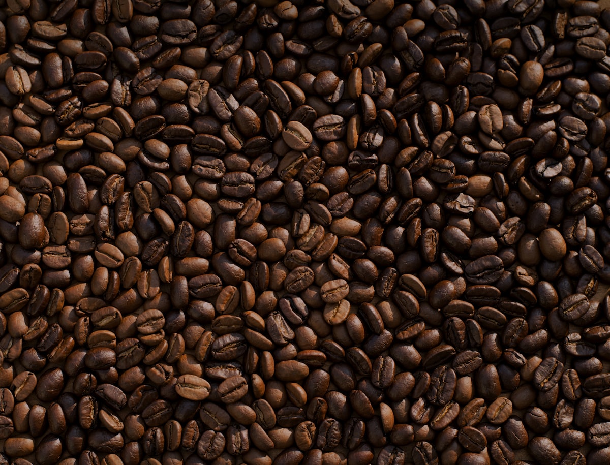 Bean Bistro Logo